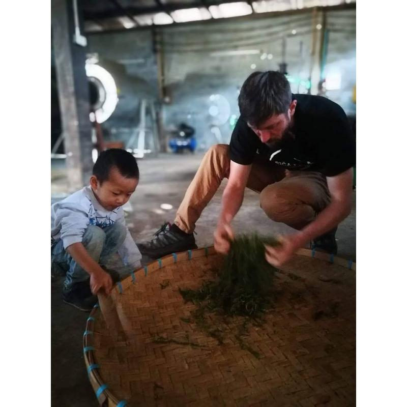 Oolong čaj Yabukita Tajland 50g