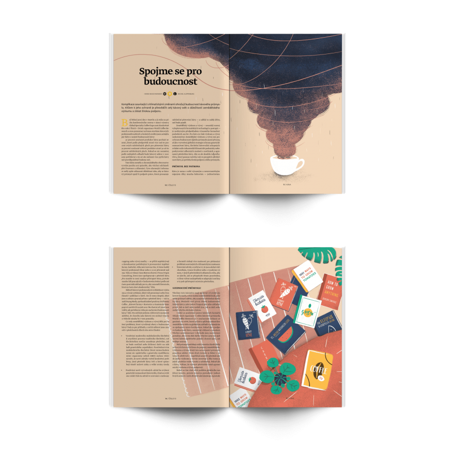 Standardna revija št. 13