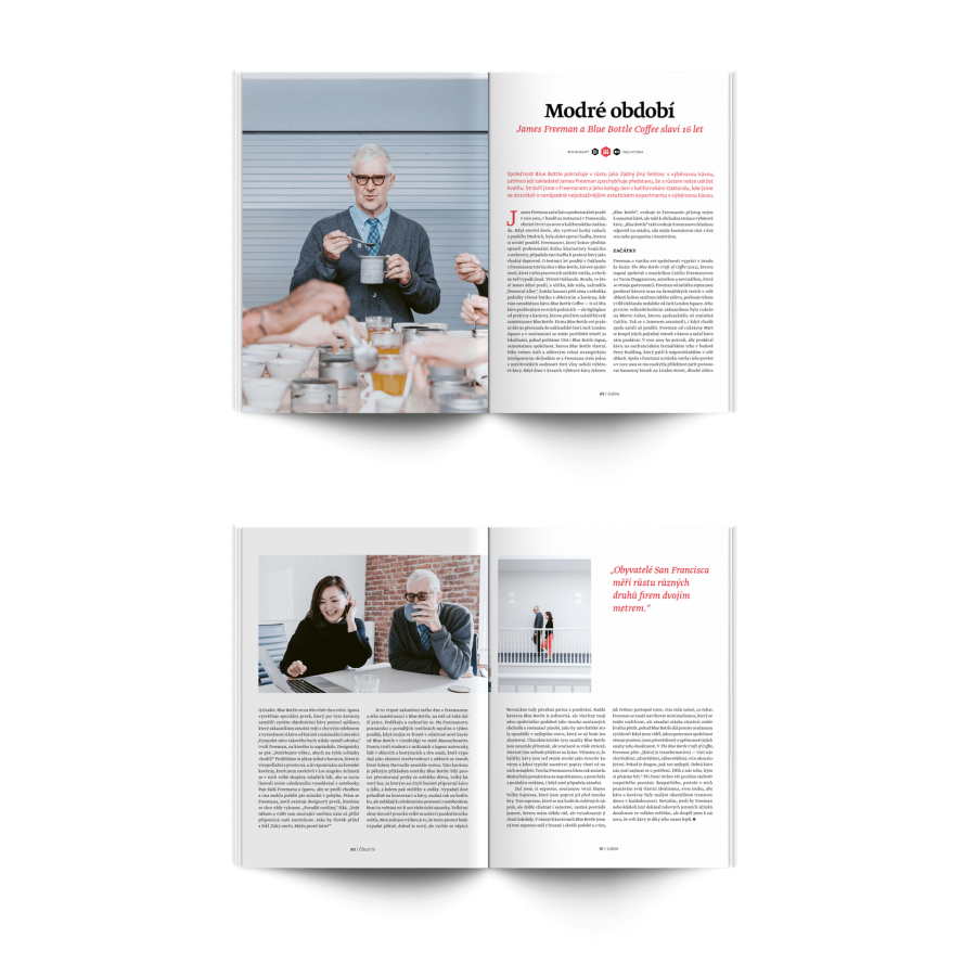 Revista Standard nr. 13