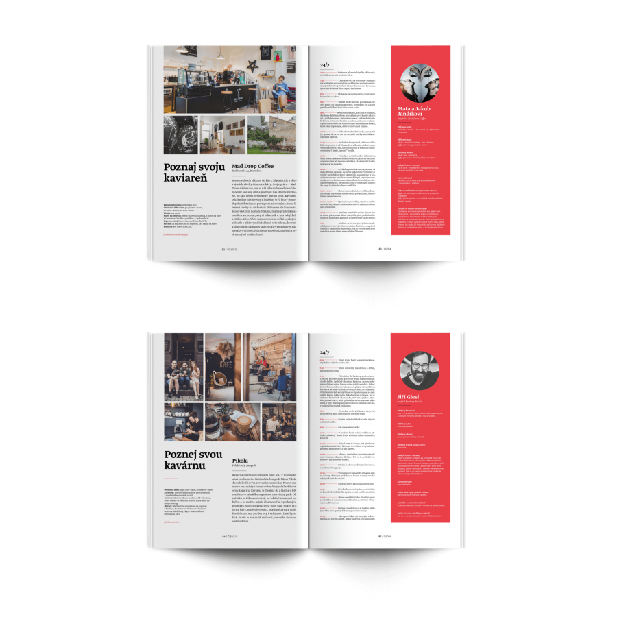 Standart Magazin No. 13