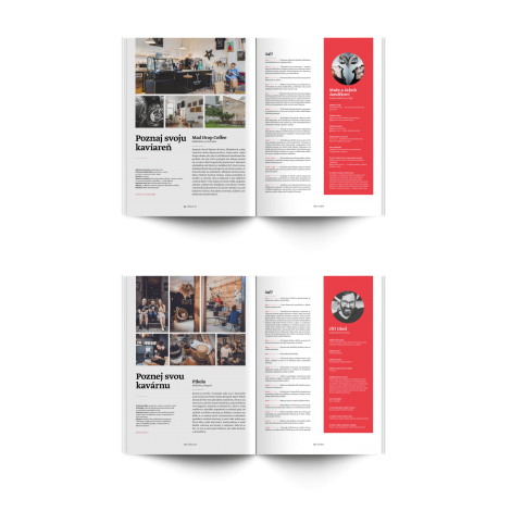 Standart magazine No. 13