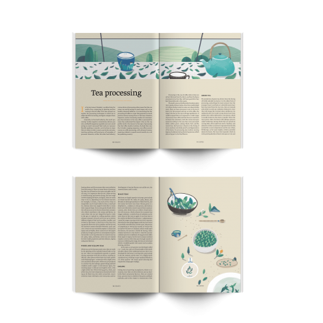 Standardna revija št. 15