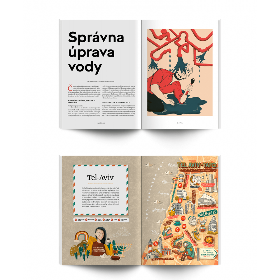 Revista standard nr. 17