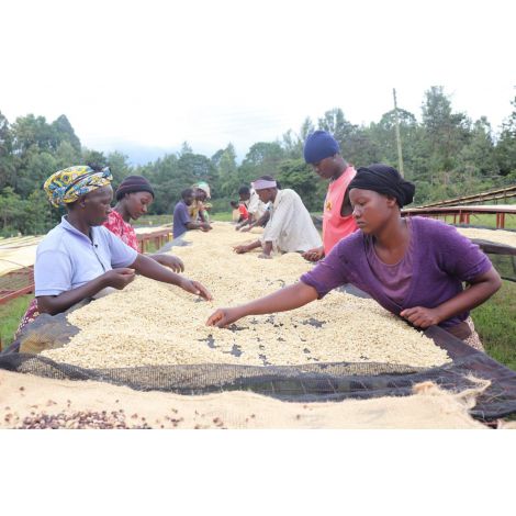 Észak-tengeri Kenya Mutitu PB 200g