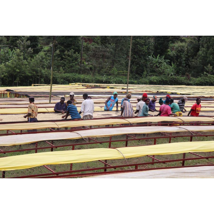 Észak-tengeri Kenya Mutitu PB 200g