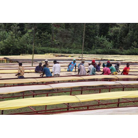 Észak-tengeri Kenya Mutitu PB 200g