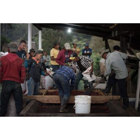 Nordbeans Guatemala FEHÉR Zászló 200g