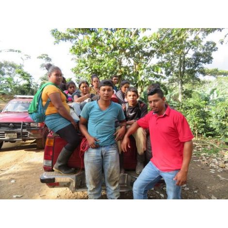 Mamacoffee Nicaragua Norlan Chavarría 100 г