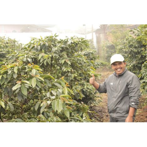 Nordbeans Indonésie Kerinci Gunung 200g