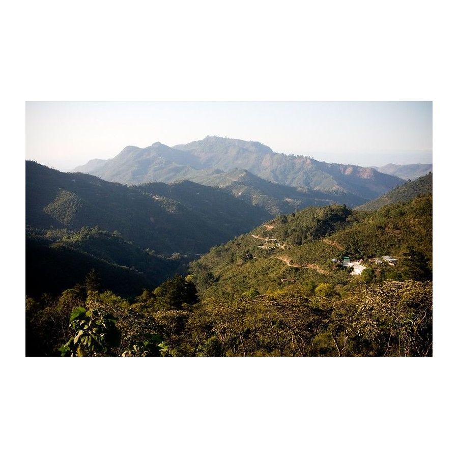 Guatemala Trés Maria, zrnková káva arabica