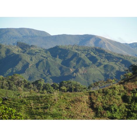 Costa Rica Tarrazu, SREDNJE PRŽENA, Arabica kava u zrnu