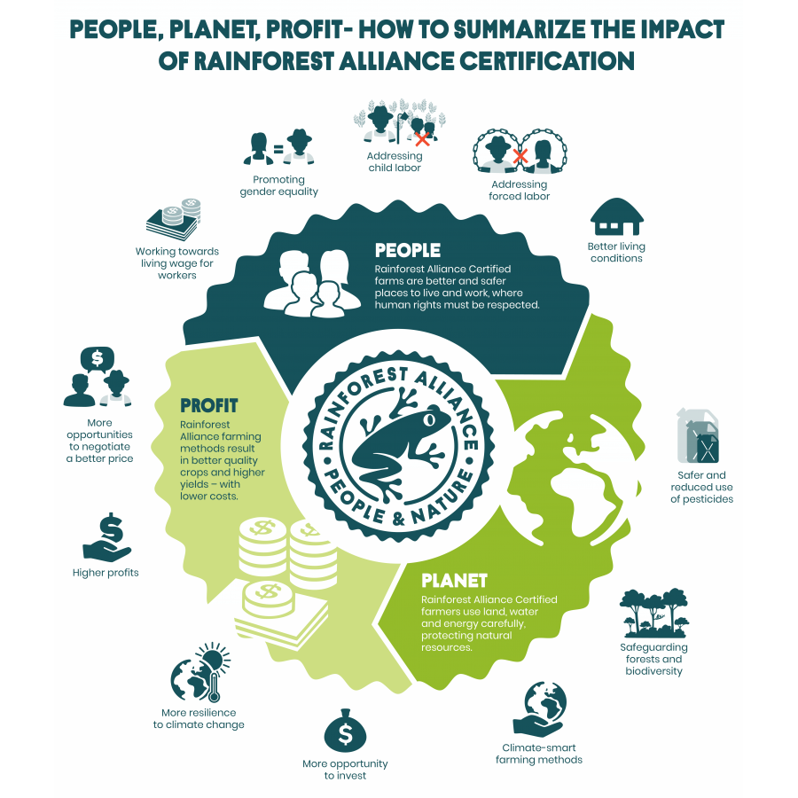 Brazylia Fazenda Rainforest, ziarna kawy Arabica