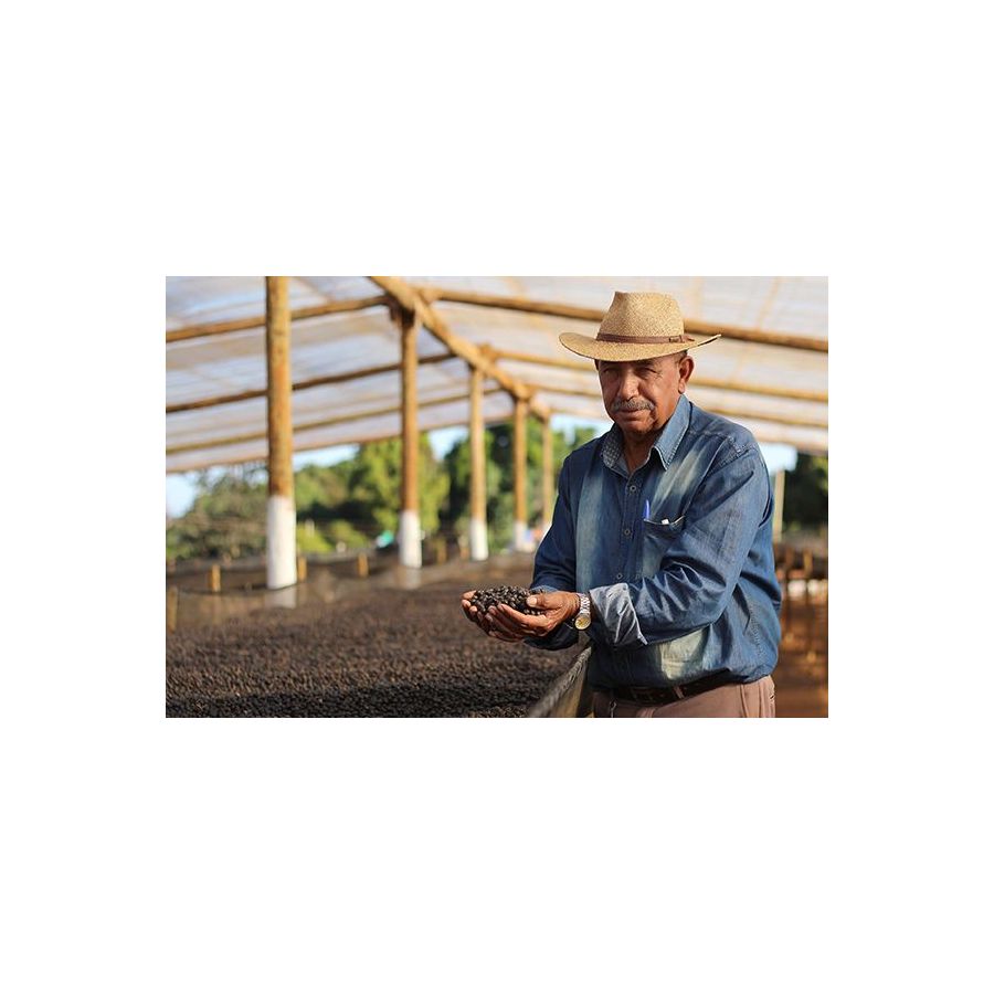 Nordbeans Brazilija Sao Silvestre 200g