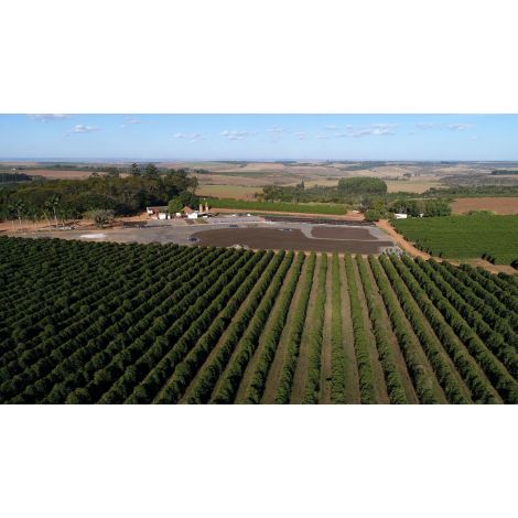 Nordbeans Horizon do espresso 250g