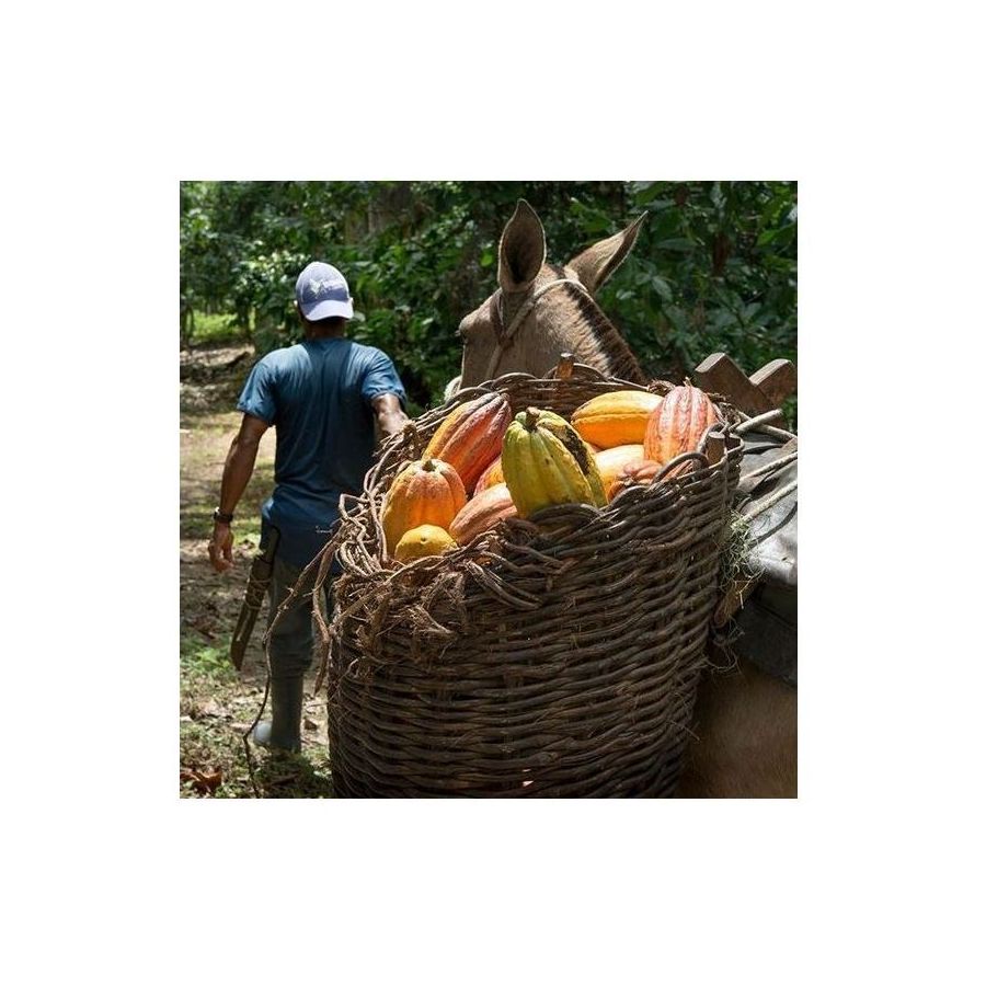 Ciocolată Michel Cluizel Arcango Grand Noir 85%