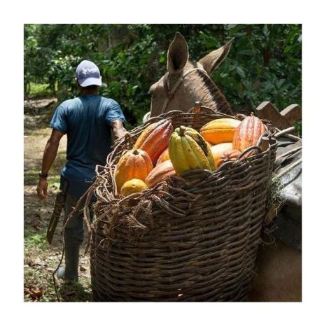 Michel Cluizel Arcango Grand Noir csokoládé 85%