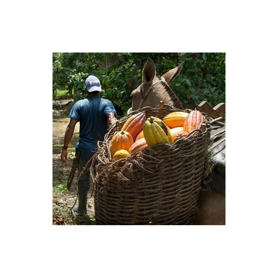 Čokoláda Bonboniéra Michel Cluizel „8 Cappuccino“