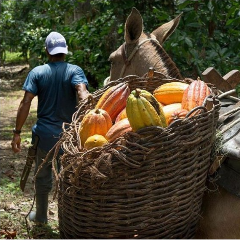Шоколадова бонбониера Michel Cluizel "8 Cappuccino"