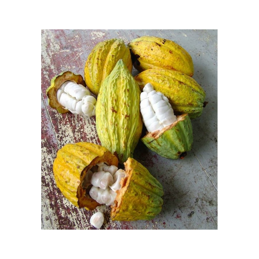 Bomboană de ciocolată Michel Cluizel "8 Cappuccino"