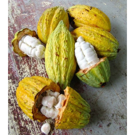 Шоколадова бонбониера Michel Cluizel "8 Cappuccino"