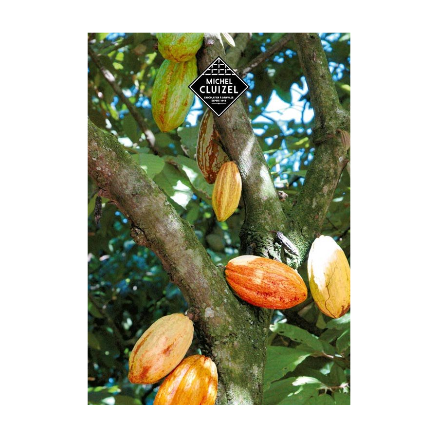 Čokoláda Bonboniéra Michel Cluizel „8 Cappuccino“