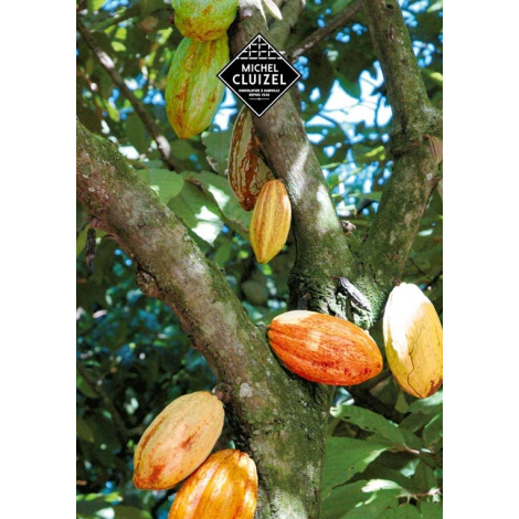 Chocolate Box Michel Cluizel "8 Cappuccino"