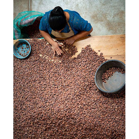 Chocolate Box Michel Cluizel "8 Cappuccino"