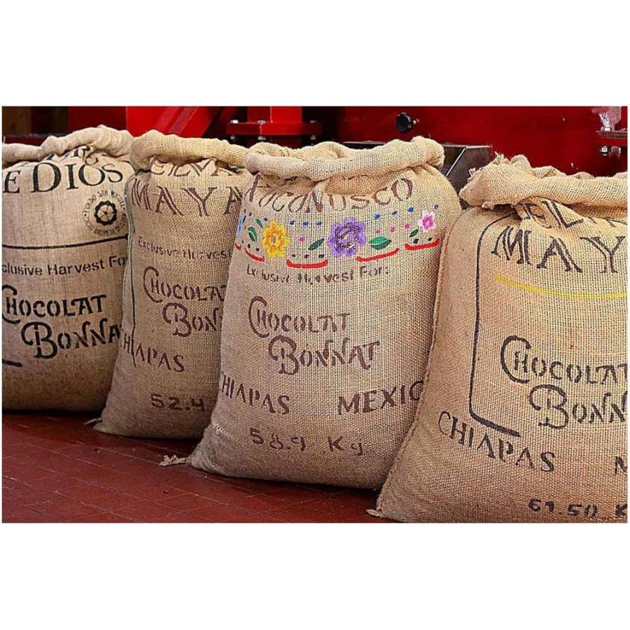 Czekolada Bonnat au Praline Noisettes - mleczna