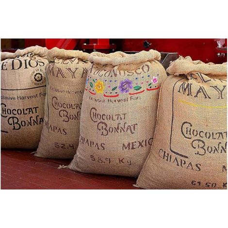 Шоколадови бонбони с пралин Noisettes 55%