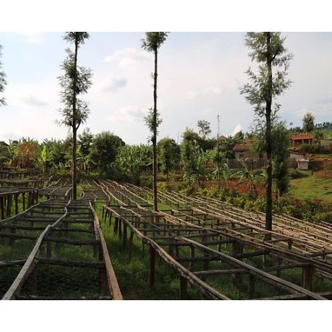 The Miners Ruanda Mwito 250g