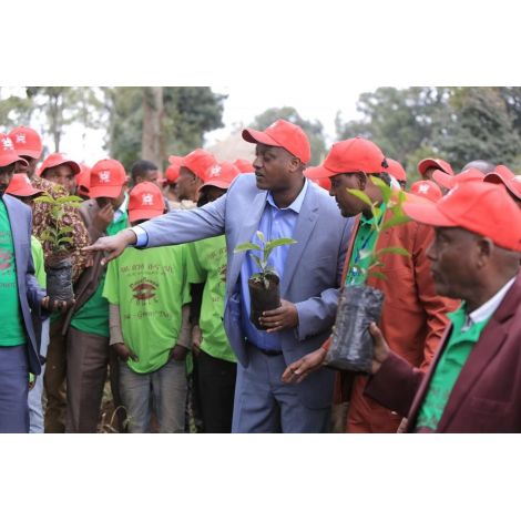 Nordbeans Ethiopia Hamasho natural 250g