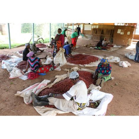 Fiftybeans Кения Риакиберу, 200g