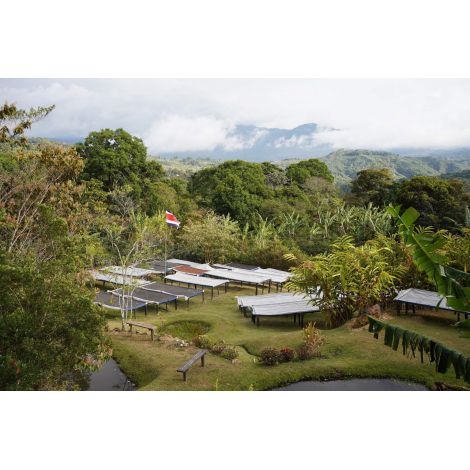 Nordbeans Коста Рика Funky 250g