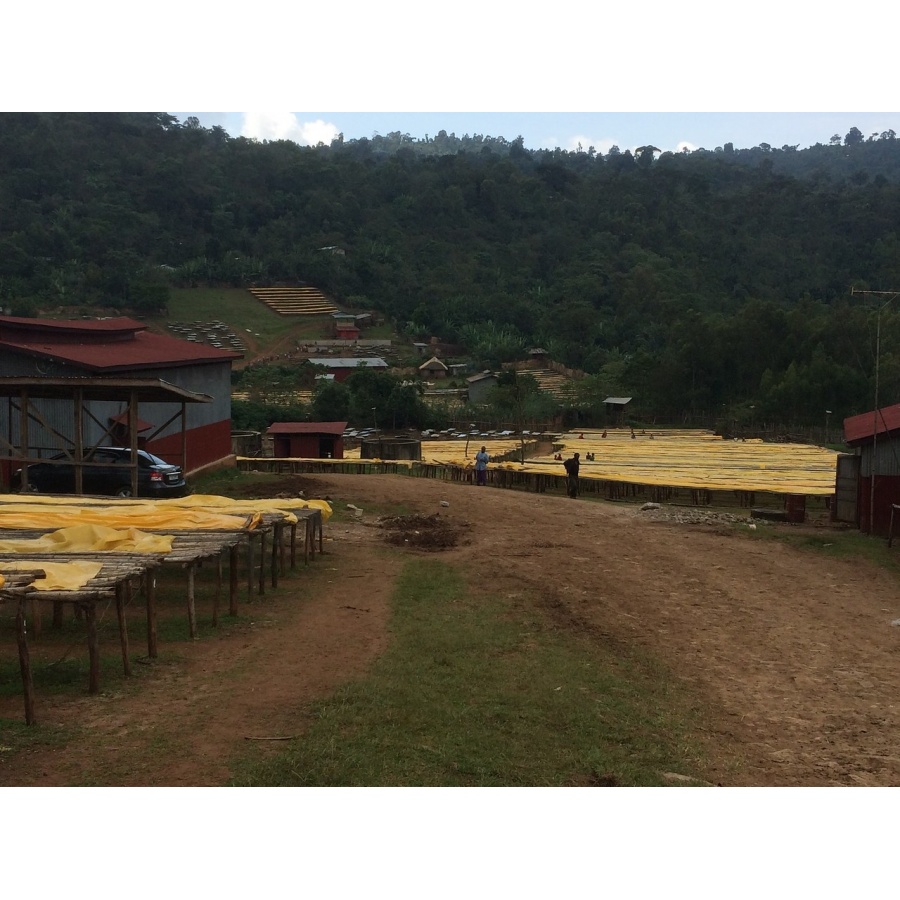 GourmetKáva Specialty - Etiopie Chelbesa Natural 250g