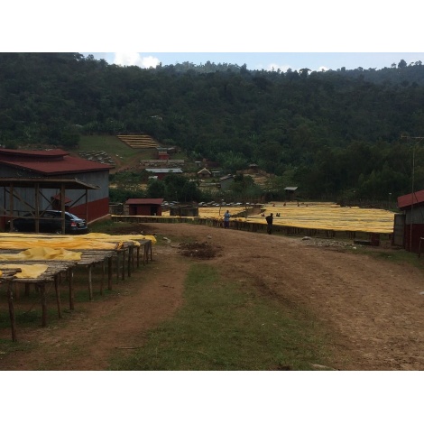 GourmetCoffee Specialty - Etiópia Chelbesa Natural 250g