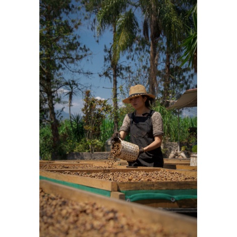 GourmetCoffee Specialty - Mehika SV Kitos 250g