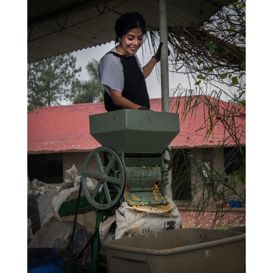 GourmetCoffee Specialty - Mehika SV Kitos 250g