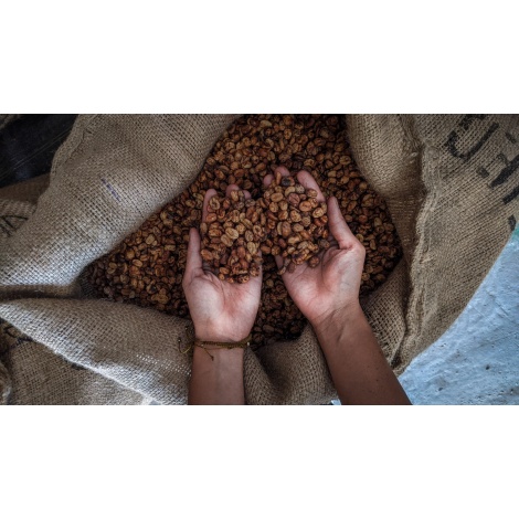 GourmetCoffee Specialty - Mexic SV Kitos 250g