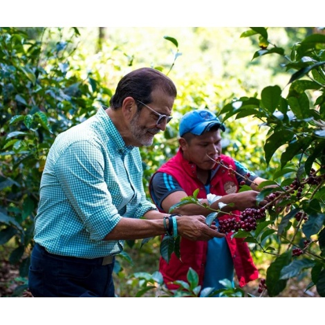 Nordbeans Panama Auromar 250g