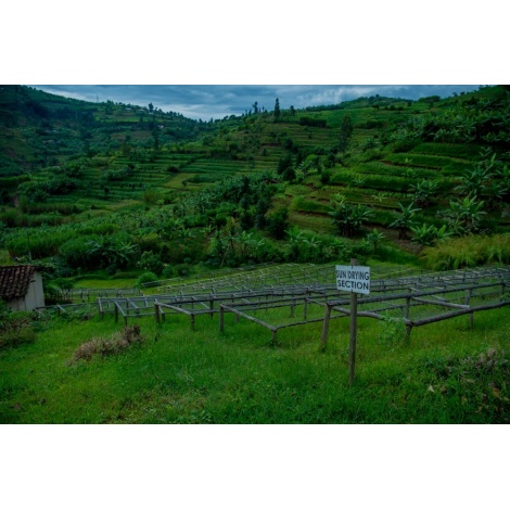 GourmetCoffee Specialty - Ruanda Ngororero 250g