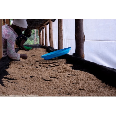 GourmetCoffee Specialitate de cafea Uganda Buwobodeya 250g