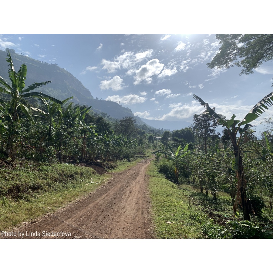 GourmetKáva Specialty Uganda Buwobodeya 250g