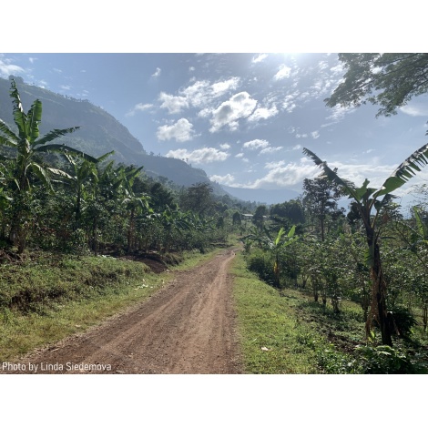 GourmetCoffee Specialitate de cafea Uganda Buwobodeya 250g