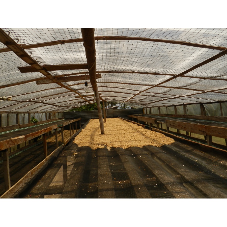 GourmetCoffee Specialty - Columbia Tumbaga DECAF 250g