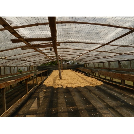 GourmetKáva Specialty Kolumbie Tumbaga DECAF 250g