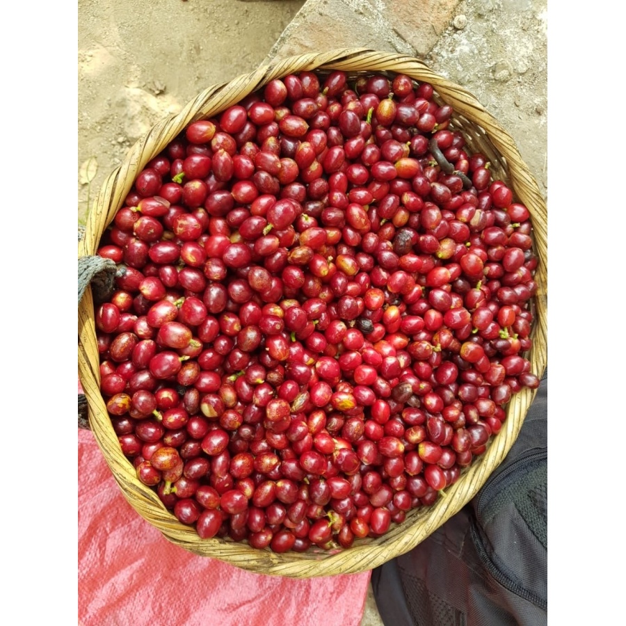 GourmetCoffee Specialty - Salvador V. Hermosa Anaerob 250g