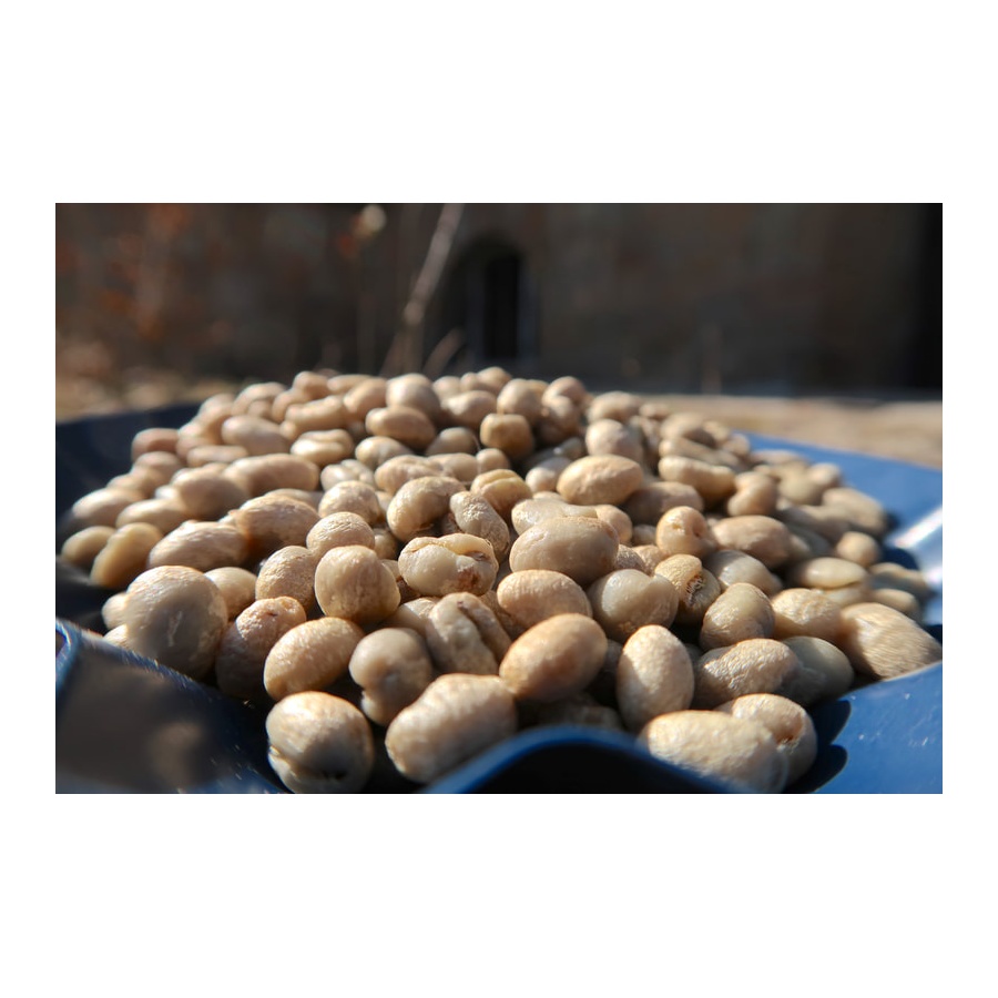 GourmetKáva Specialty Kenya Wamuguma PB 250g