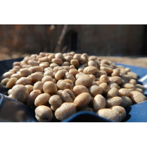 GourmetKáva Specialty Kenya Wamuguma PB 250g