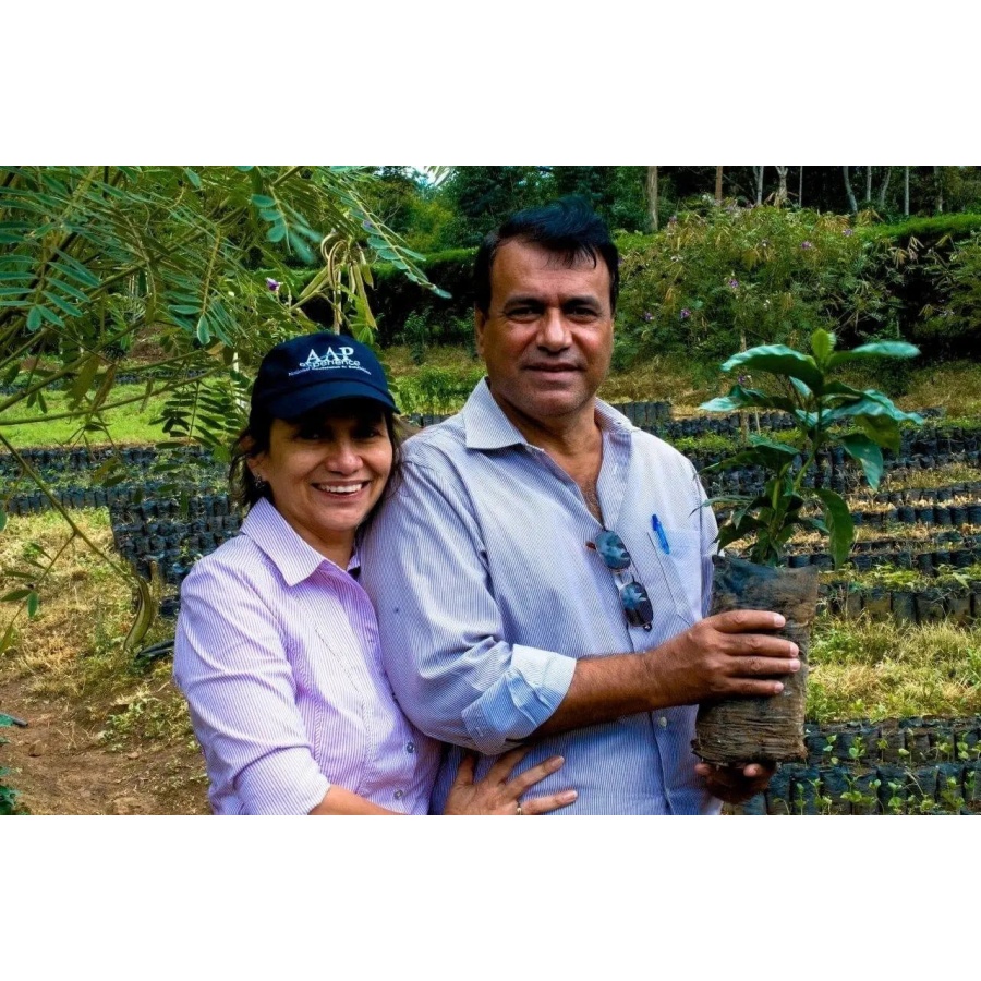 Beansmiths Nikaragva - Finca Aurora, 250g