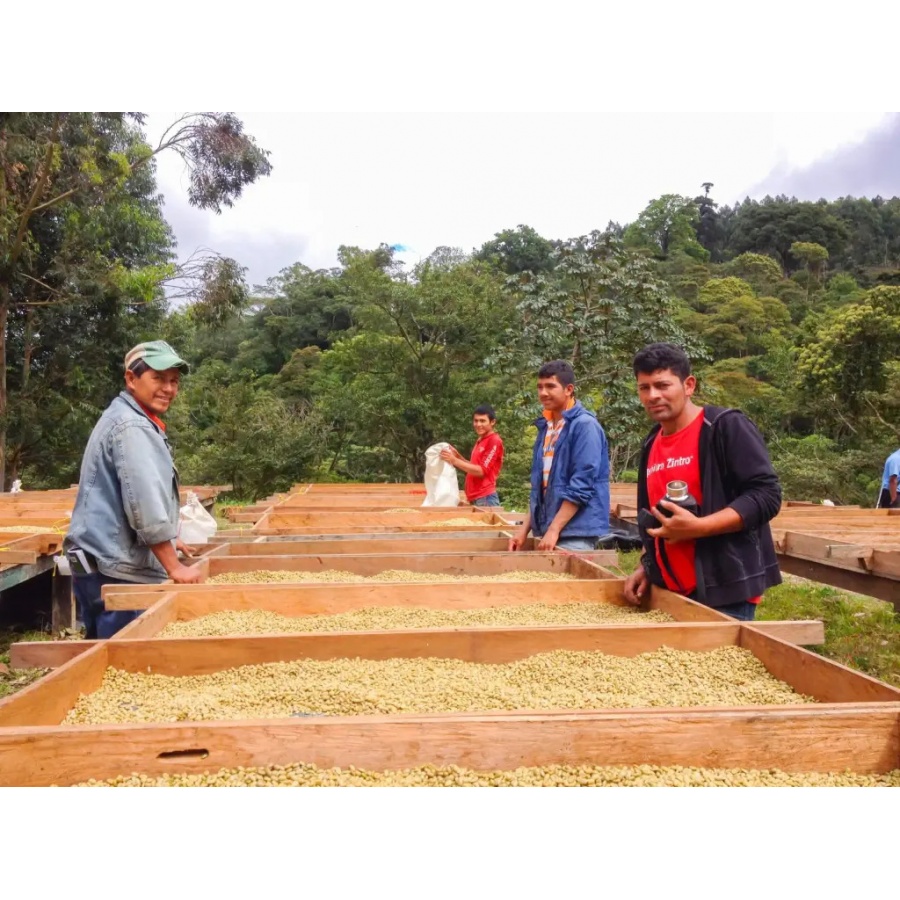 Beansmiths Nikaragva - Finca Aurora, 250g